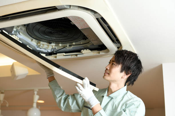 Best Air Duct Sanitizing Services  in Troy, TN