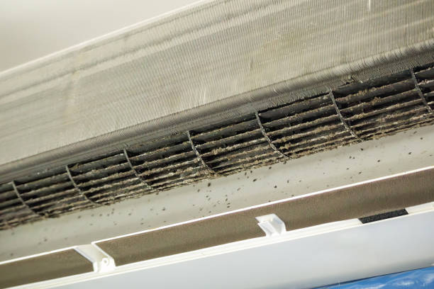 Ductwork Cleaning Services in Troy, TN